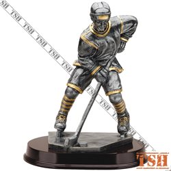 Trophée de hockey M