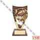 Football Trophy