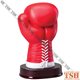 Boxe Trophy