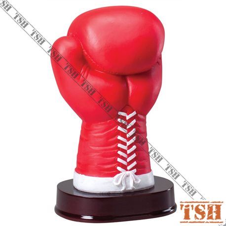Boxe Trophy
