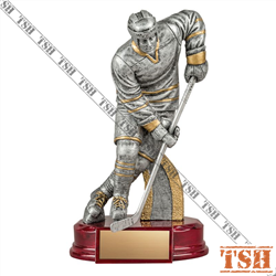 Hockey Trophy