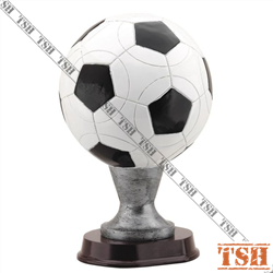 Trophée de soccer