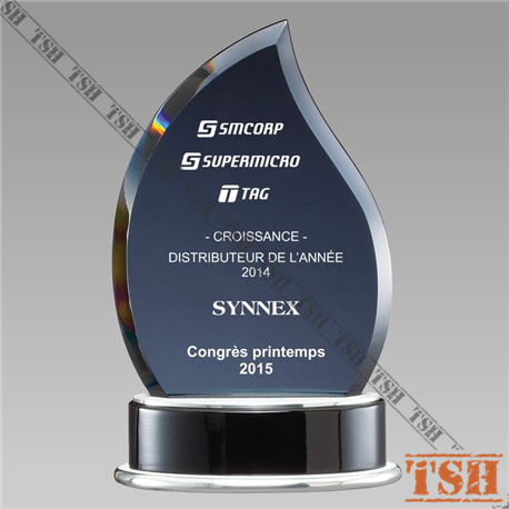 Trophée Hudson Trophée Hudson