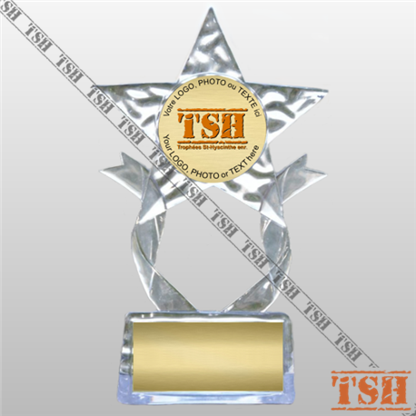 7½" Star Holder Trophy