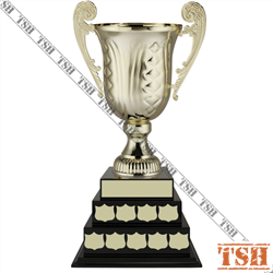 Repentigny Trophy