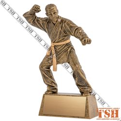 Martial arts Trophy