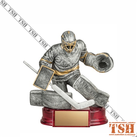 Trophée gardien de hockey