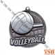 Volleyball Medal