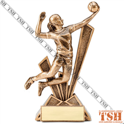 Volleyball Trophy F