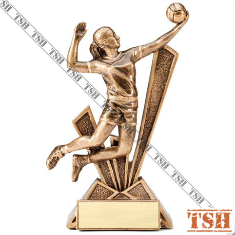 Trophée de volleyball F