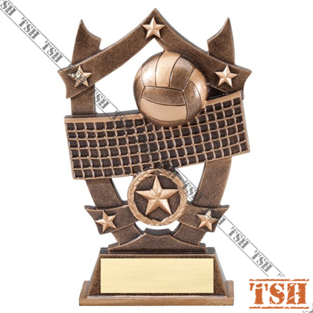Trophée de volleyball