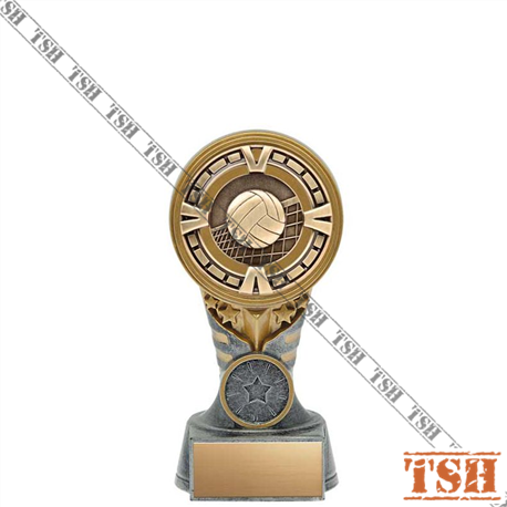 Volleyball Trophy