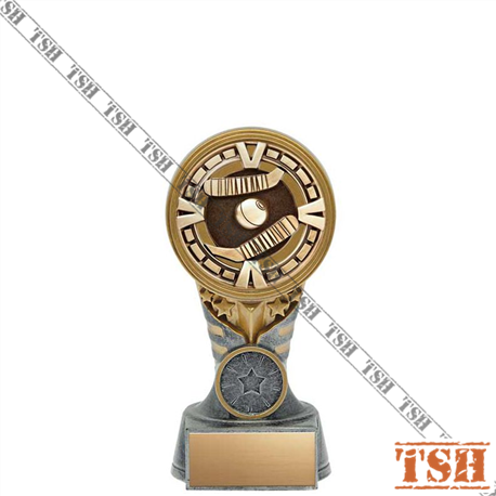 Trophée de dek hockey