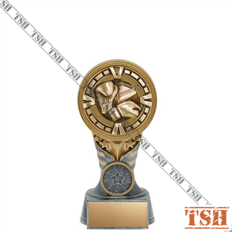 Trophée de boxe