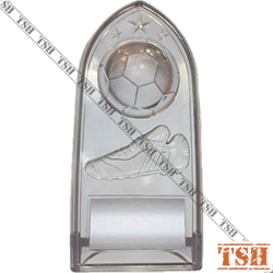 Trophée de soccer