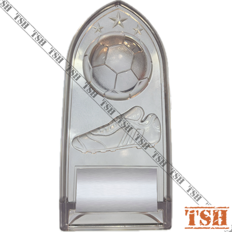 Trophée de soccer