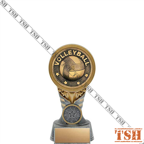 Trophée de volleyball