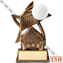 Volleyball Trophy
