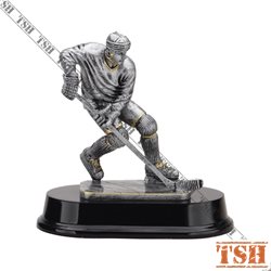 Hockey Trophy M