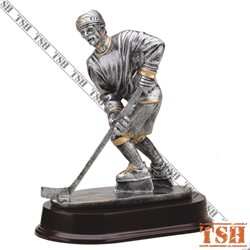 Hockey Trophy M