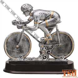 Racing Bike Trophy