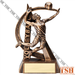 Volleyball Trophy M