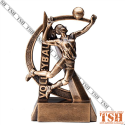 Volleyball Trophy F